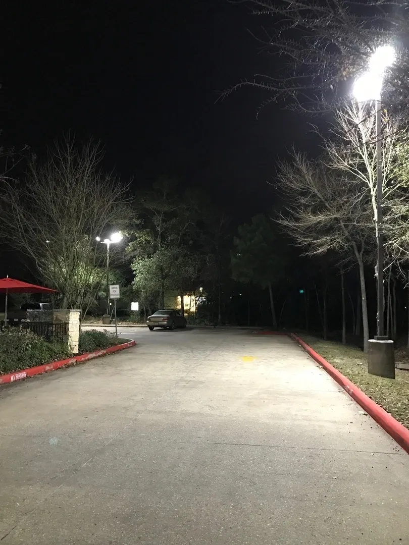 A street with trees and lights at night.