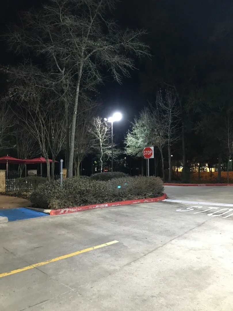 A parking lot with trees and lights at night.